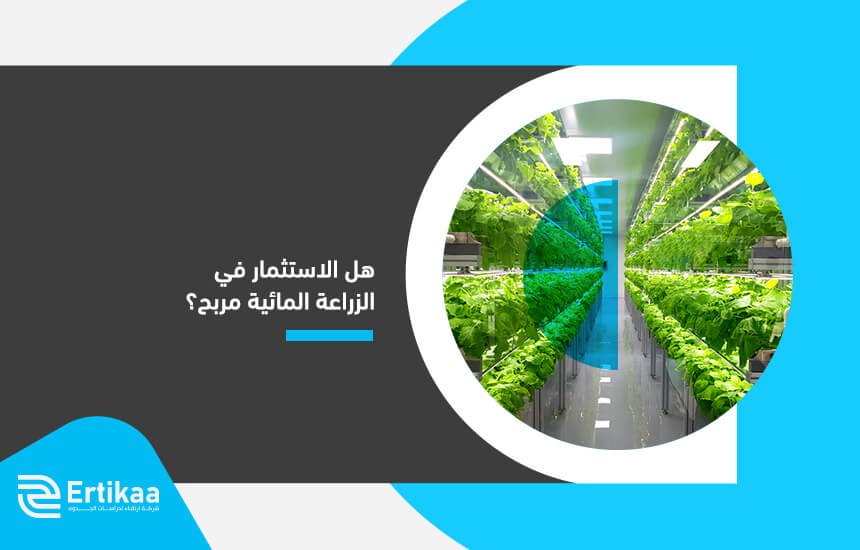 هل الاستثمار في الزراعة المائية مربح؟