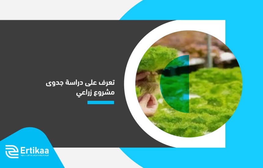 تعرف على دراسة جدوى مشروع زراعي