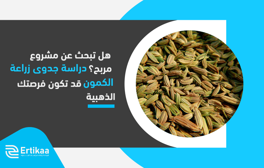 Feasibility_study_of_cumin_transplantation