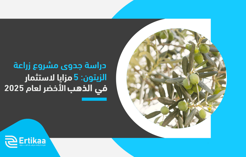Feasibility_study_of_the_olive_transplant_project__5