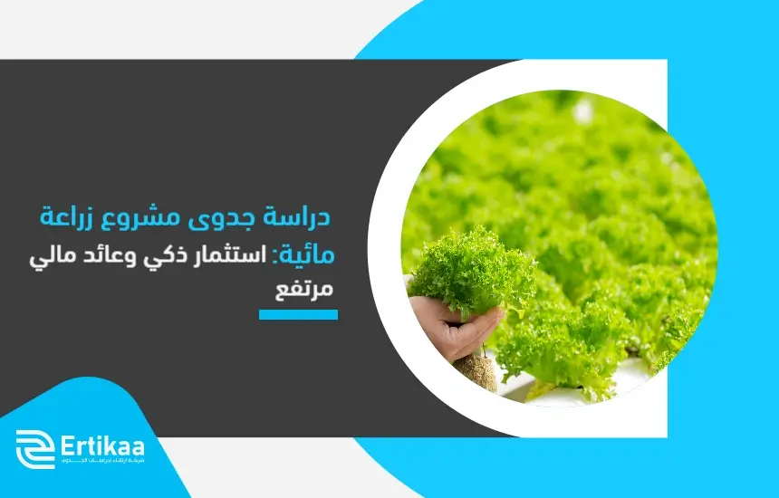 دراسة جدوى مشروع زراعة مائية: استثمار ذكي وعائد مالي مرتفع!