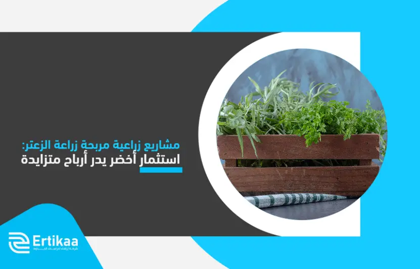 Profitable_agricultural_projects_growing_thyme_ (1)